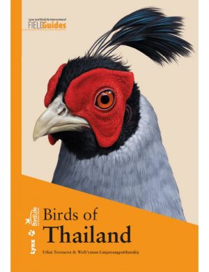 Birds of Thailand