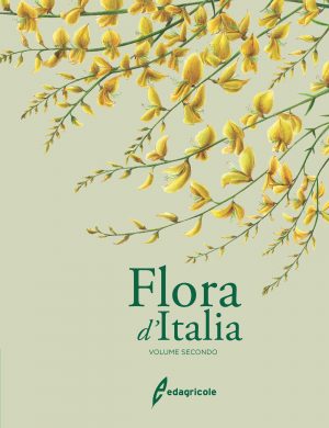 Flora d'Italia, 2nd Edition: Volume 2