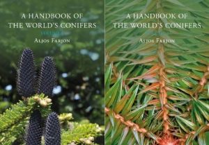 A Handbook of the World's Conifers (2-Volume Set). Revised and updated edition