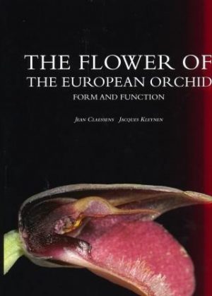 The Flower of the European Orchid: Form and Function