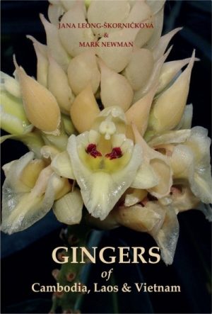 Gingers of Cambodia, Laos & Vietnam