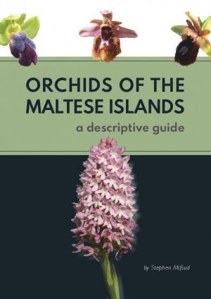 Orchids of the Maltese Islands A Descriptive Guide