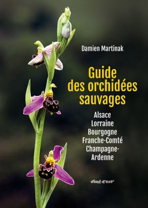 Guide des orchidées sauvages