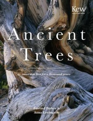 Ancient Trees Book cover