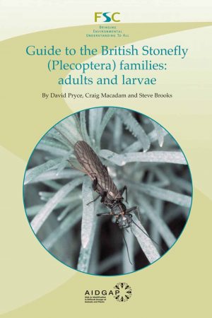 Guide to the British Stonefly (Plecoptera) families: adults and larvae