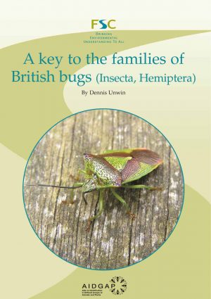 A key to families of British bugs (Insecta, Hemiptera)