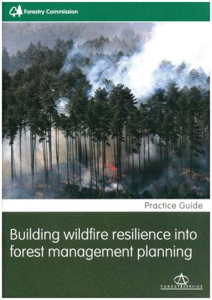 Building wildfire resilience into forest management planning