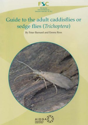 Guide to the adult caddisflies or sedge flies (Trichoptera)