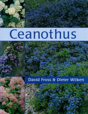 Ceanothus