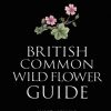 Collins British Common Wildflower Guide book cover