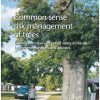 Common Sense Risk Management of Trees