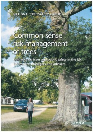 Common Sense Risk Management of Trees