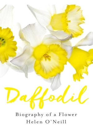 Daffodil: Biography of a Flower