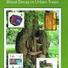 Diagnosis and Prognosis of the Development of Wood Decay in Urban Trees