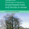 Guide to the Identification of Broad-leaved Trees & Shrubs in Winter
