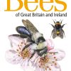 Field Guide to the Bees of Great Britain and Ireland book cover