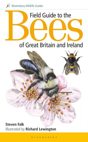 Guide to the Common Seashells of Britain and Ireland [Book]