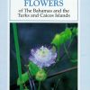 Front cover of Flowers of The Bahamas and the Turks and Caicos Islands