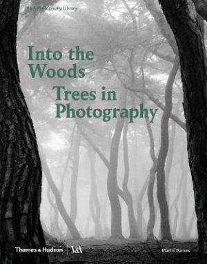 Into the Woods, Trees in photogrpahy book cover