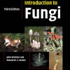 Introduction to Fungi book cover