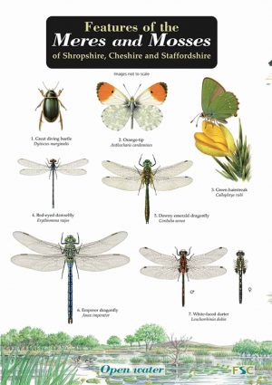 Features of the Meres and Mosses of Shropshire, Cheshire and Staffordshire  FSC fold out chart