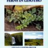 Front cover of Searching for Ferns in Lesotho