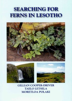Front cover of Searching for Ferns in Lesotho