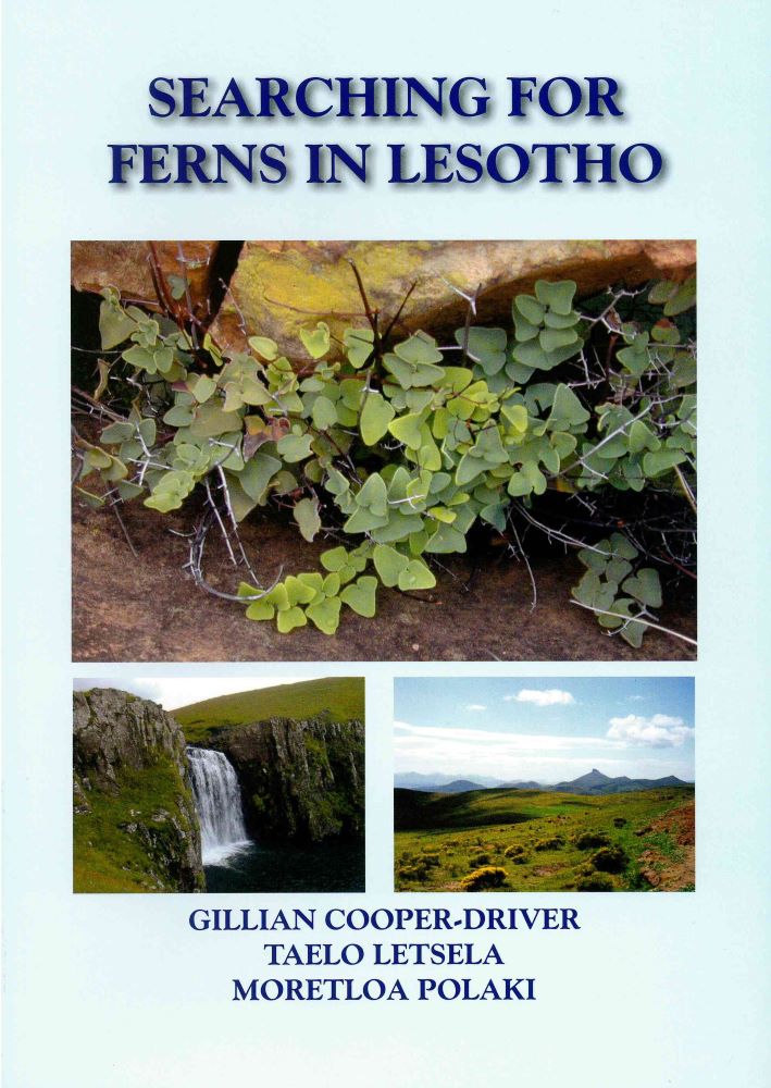Front cover of Searching for Ferns in Lesotho