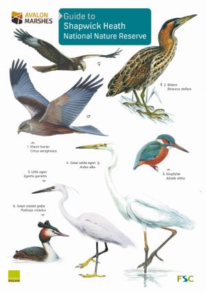Guide to Shapwick Heath - Field Studies Council fold out chart