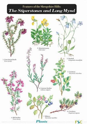 Features of the Shropshire Hills: The Stiperstones and Long Mynd - Field Studies Council fold out chart