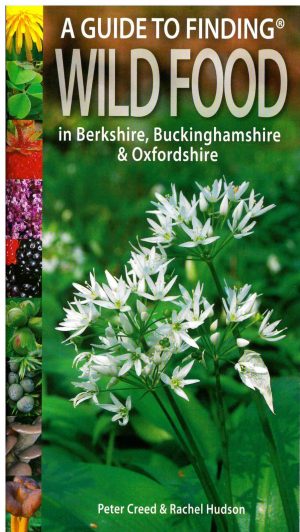 A Guide to Finding Wild Food in Berkshire, Buckinghamshire and Oxfordshire