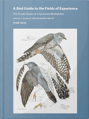 A Bird Guide to the Fields of Experience vol 1