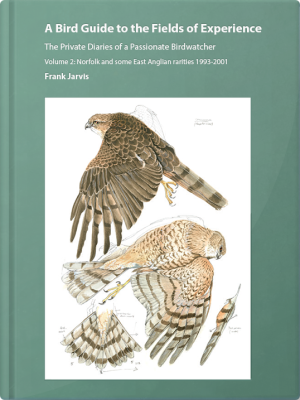 A Bird Guide to the Fields of Experience  vol 2