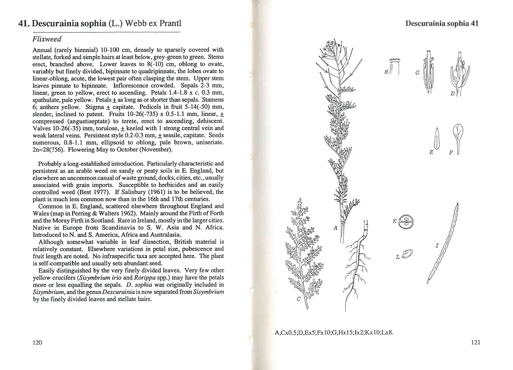 Crucifers of Great Britain and Ireland. BSBI Handbook no. 6 - Image 2