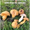 British Boletes: with key to species 8th ed