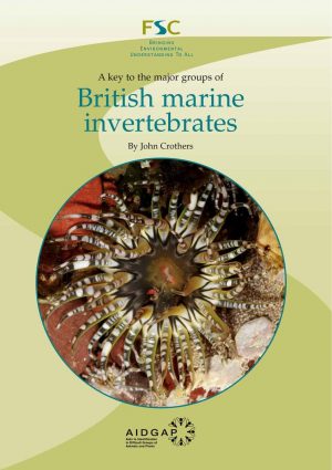A key to the major groups of British marine invertebrates