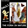Pauli explains the form in nature
