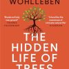 The Hidden Life of Trees - paperback