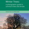 Winter Trees, A photographic guide to common  Trees and Shrubs