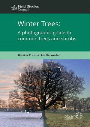 Winter Trees, A photographic guide to common  Trees and Shrubs