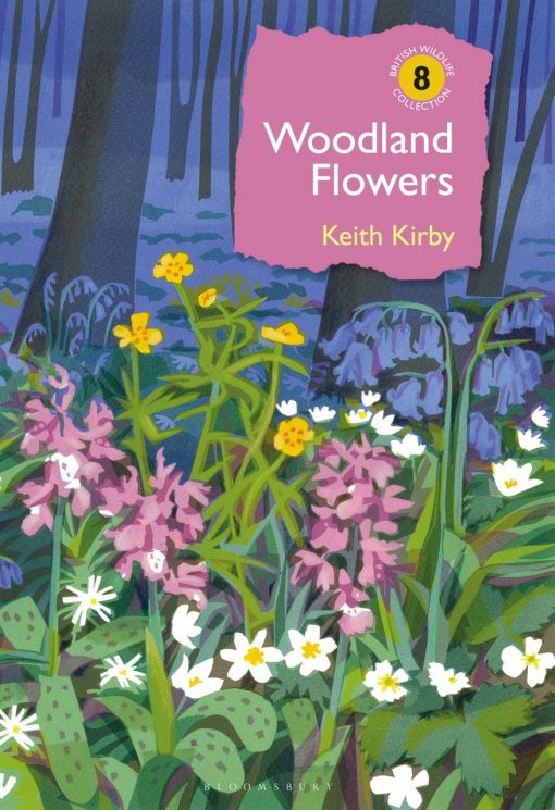 Woodland Flowers: Colourful past, uncertain future. The British Wildlife Collection No. 8