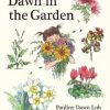 Dawn in the Garden book cover