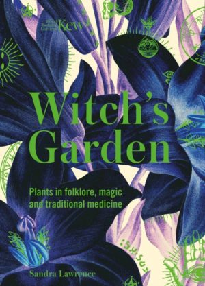 Witch's Garden book cover