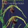 Vanishing Beauty: Native Costa Rican Orchids, Volume 2 Lacaena – Pteroglossa