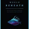 The World Beneath book cover