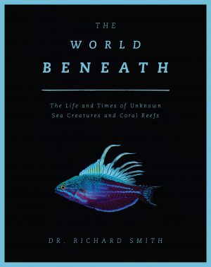 The World Beneath book cover