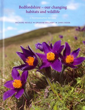 Bedfordshire - our changing habitats and wildlife: A photographic record