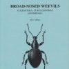 Broad-nosed weevils - RES Handbook vol 5 part 17a