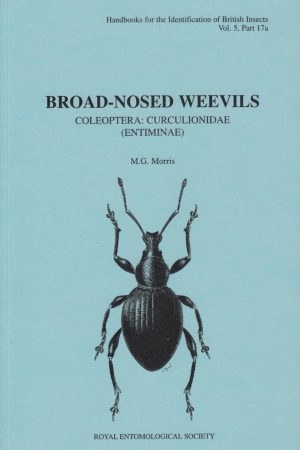 Broad-nosed weevils - RES Handbook vol 5 part 17a