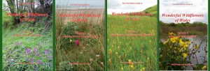 The First Nature Guide to Wonderful Wildflowers of Wales: Complete Set